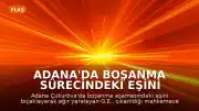 Adana'da Boşanma Sürecindeki Eşini Bıçaklayarak Ağır Yaralayan Şahıs Tutuklandı