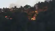 Adana'nın Kozan İlçesinde Orman Yangını: Kontrol Altına Alındı