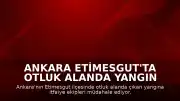 Ankara Etimesgut'ta otluk alanda yangın çıktı