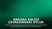 Ankara Kalesi Çevresindeki Otluk Alanda Yangın Çıktı