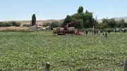 Ankara Sincan'da Düşen Eğitim Helikopterinin Enkazı Vinçle Kaldırıldı