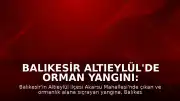 Balıkesir Altıeylül'de Orman Yangını: Ekiplerin Müdahalesi Sürüyor