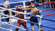 Bolu'da Türkiye Kick Boks Şampiyonası Başladı: Müsabaka Sırasında Bir Sporcu Fenalaştı