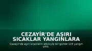 Cezayir'de Aşırı Sıcaklar Yangınlara Yol Açtı: 119 Yangından 114'ü Söndürüldü