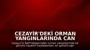 Cezayir'deki Orman Yangınlarında Can Kaybı ve Yaralanma Bildirildi