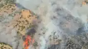 Denizli Pamukkale'de Orman Yangını Çıktı