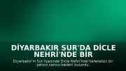 Diyarbakır Sur'da Dicle Nehri'nde Bir Kişinin Cansız Bedeni Bulundu