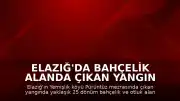 Elazığ'da Bahçelik Alanda Çıkan Yangın Kontrol Altına Alındı