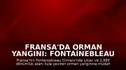 Fransa'da Orman Yangını: Fontainebleau Ormanı'nda Bin 980 Dönüm Alan Kül Oldu
