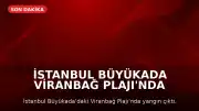 İstanbul Büyükada Viranbağ Plajı'nda Yangın Çıktı