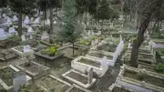 İstanbul'da Mezarlık Alanlarındaki Doluluk ve Artan Mezar Yeri Fiyatları