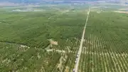 Kadışehri'nde Sınırların Kaldırılmasıyla Üretim 30 Kat Arttı