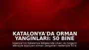Katalonya'da Orman Yangınları: 50 Bine Yakın Kişi Tahliye Edildi