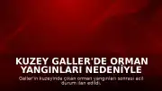 Kuzey Galler'de Orman Yangınları Nedeniyle Acil Durum İlan Edildi