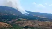 Malatya Pütürge'de Orman Yangını Çıktı