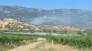 Manisa Sarıgöl'de maki yangını ormana sıçradı