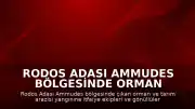Rodos Adası Ammudes Bölgesinde Orman Yangını Meydana Geldi