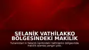 Selanik Vathilakko Bölgesindeki Makilik Alanda Yangın Başladı