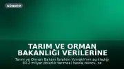 Tarım ve Orman Bakanlığı Verilerine İlişkin Değerlendirme: 'Gerçek Başarı, Halkın Gıdaya Ne Kadar Ucuza Erişebildiğidir'