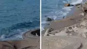 Zonguldak Filyos Sahili'nde Askeri Amaçlı Olduğu Düşünülen İHA Bulundu