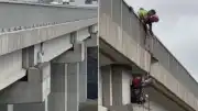 Kuzey Marmara Otoyolu Viyadüğünde Mahsur Kalan Keçiye Kurtarma Operasyonu