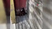 Arnavutköy'de Tabelaya Sıkışan Yavru Kedi Kurtarıldı
