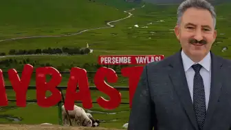 Aybastı Belediye Başkanı Gündoğar'a Maden Şirketiyle Temas İddiası