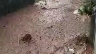 Kayseri Yahyalı'da Sağanak Yağış Sel Felaketine Yol Açtı