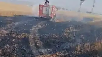 Şırnak'ın Silopi ilçesinde buğday ekili arazide çıkan yangında 10 dönüm alan zarar gördü