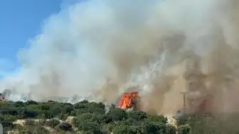 Çanakkale Ezine'de Orman Yangını: Havadan ve Karadan Müdahale Devam Ediyor