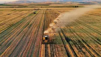 Konya merkezli Bil-Naz Tarım İlaçları ve Ürünleri Sanayi ve Ticaret Limited Şirketi iflas etti