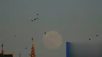 ABD'li Diplomat Myanmar'da Ölü Bulundu: Cinayet Şüphesi