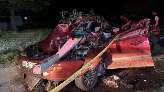 Nevşehir'de Trafik Kazası: Otomobil Sürücüsü Hayatını Kaybetti