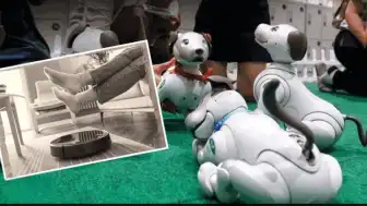 Yeni Nesil Ev Robotları ve Sosyal Asistanlar: Güvenlik ve Mahremiyet Riskleri