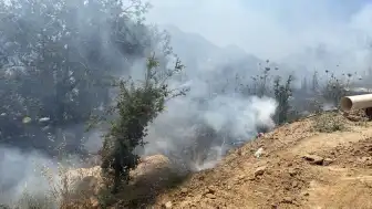 Bodrum'da Makilik Alanda Çıkan Yangın Kontrol Altına Alındı