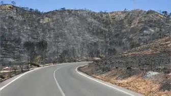 İspanya Almeria'daki Orman Yangınlarında Kurtarılan İngiliz Çiftin Durumu Kritik