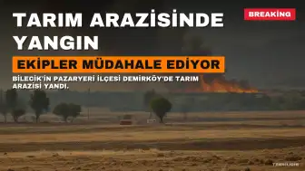Bilecik'te Tarım Arazisinde Yangın: Ekipler Müdahale Ediyor
