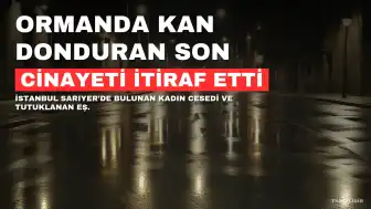 İstanbul'da Kadın Cinayeti: Şüpheli Eş Tutuklandı