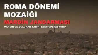 Mardin'de Yaklaşık 1500 Yıllık Roma Dönemi Mozaiği ve Tarihi Eserler Bulundu: 2 Gözaltı