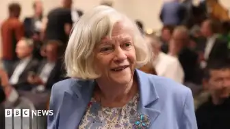 Polis, Ann Widdecombe cinayetinin siyasi bir motivasyon taşıdığına dair bulguya rastlanmadığını açıkladı