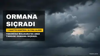 Tekirdağ Malkara'da anız yangını ormana sıçradı: 3 saatte kontrol altına alındı