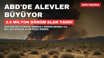 ABD'nin Batısında Orman Yangınları Genişliyor: 2.9 Milyon Dönüm Alan Kül Oldu, İki Pilot Hayatını Kaybetti