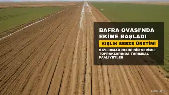 Bafra Ovası'nda Kışlık Sebze Ekimi İçin 90 Günlük Geri Sayım Başladı