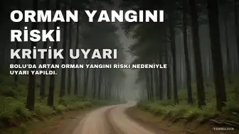 Bolu'da Orman Yangını Riski Yüksek: Valilikten Kritik Uyarı
