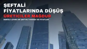 Çivril'de Şeftali Üreticileri Fiyat Düşüşüyle Karşı Karşıya: 'Üretmenin Anlamı Kalmıyor'