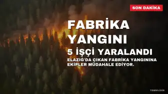 Elazığ'da Fabrika Yangını: Ekipler Müdahale Ediyor, 5 İşçi Yaralandı