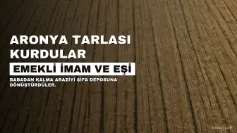 Emekli İmam ve Eşinin 7 Dekarlık Tarlada Aronya Yetiştiriciliğiyle Başarısı