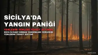 Sicilya'da Orman Yangınları Yerleşim Yerlerini Tehdit Ediyor, B.K. Yaralandı