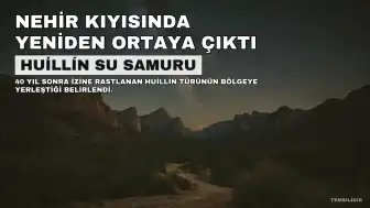 40 Yıl Sonra Nehir Kıyısında Yeniden Ortaya Çıkan Huillín Su Samuru