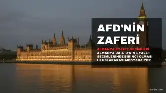 Almanya'da AfD'nin Zaferi Asya-Pasifik Medyasında Geniş Yankı Buldu
